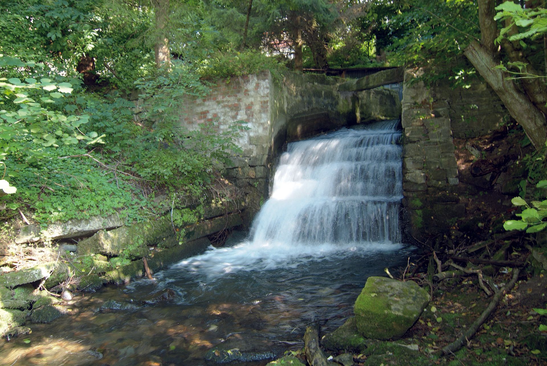 Ein kleiner Wasserfall inmitten eines Waldes, umgeben von Bäumen.