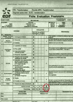 pdf pdf