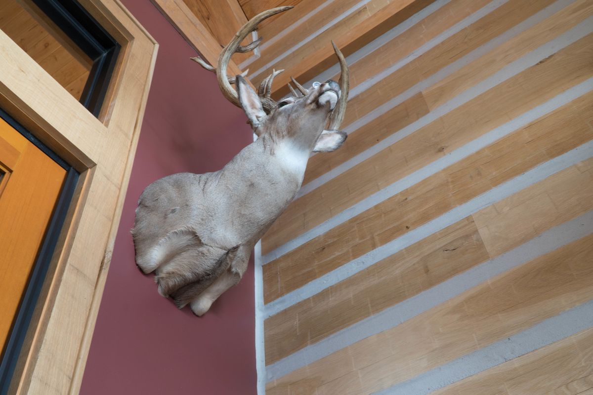 Antler's interior 2