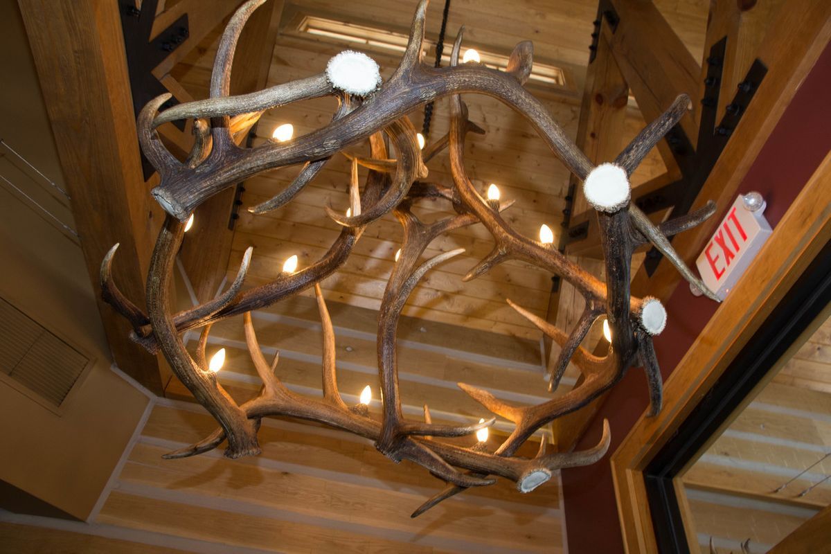 Antler's interior 3