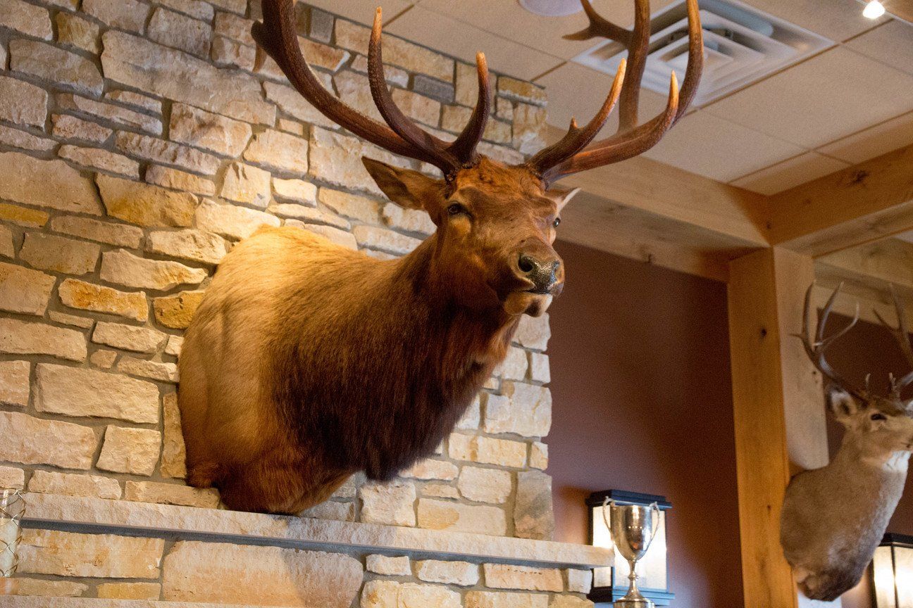 Trophy Room 4