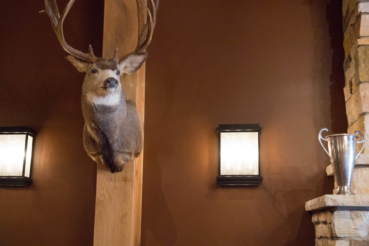Trophy Room 5