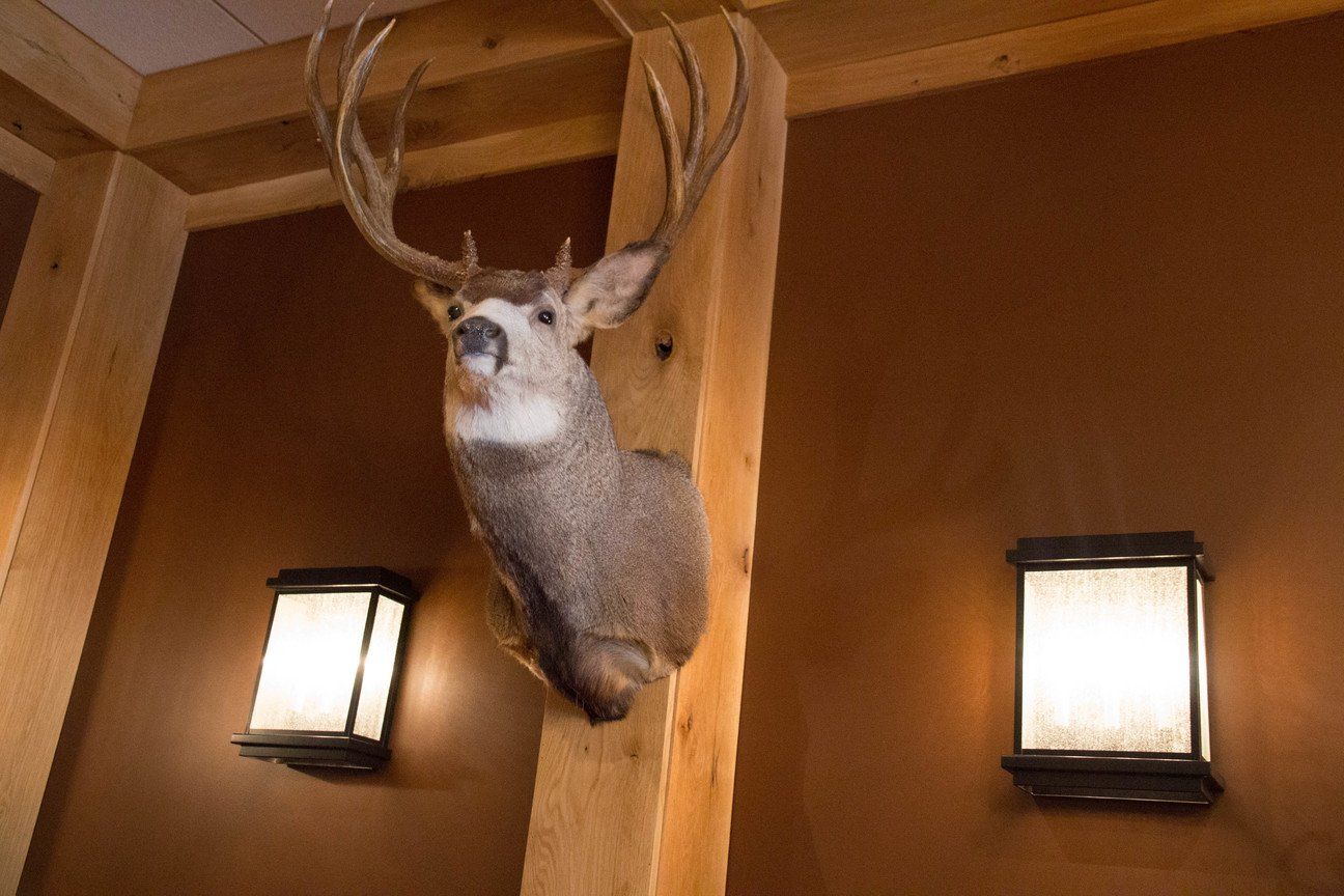 Trophy Room 7
