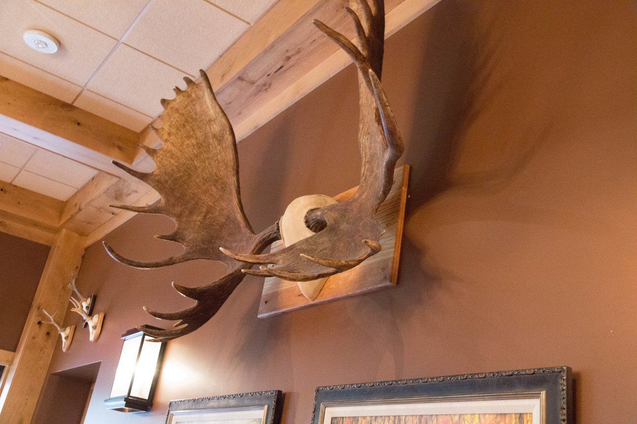 Trophy Room 15