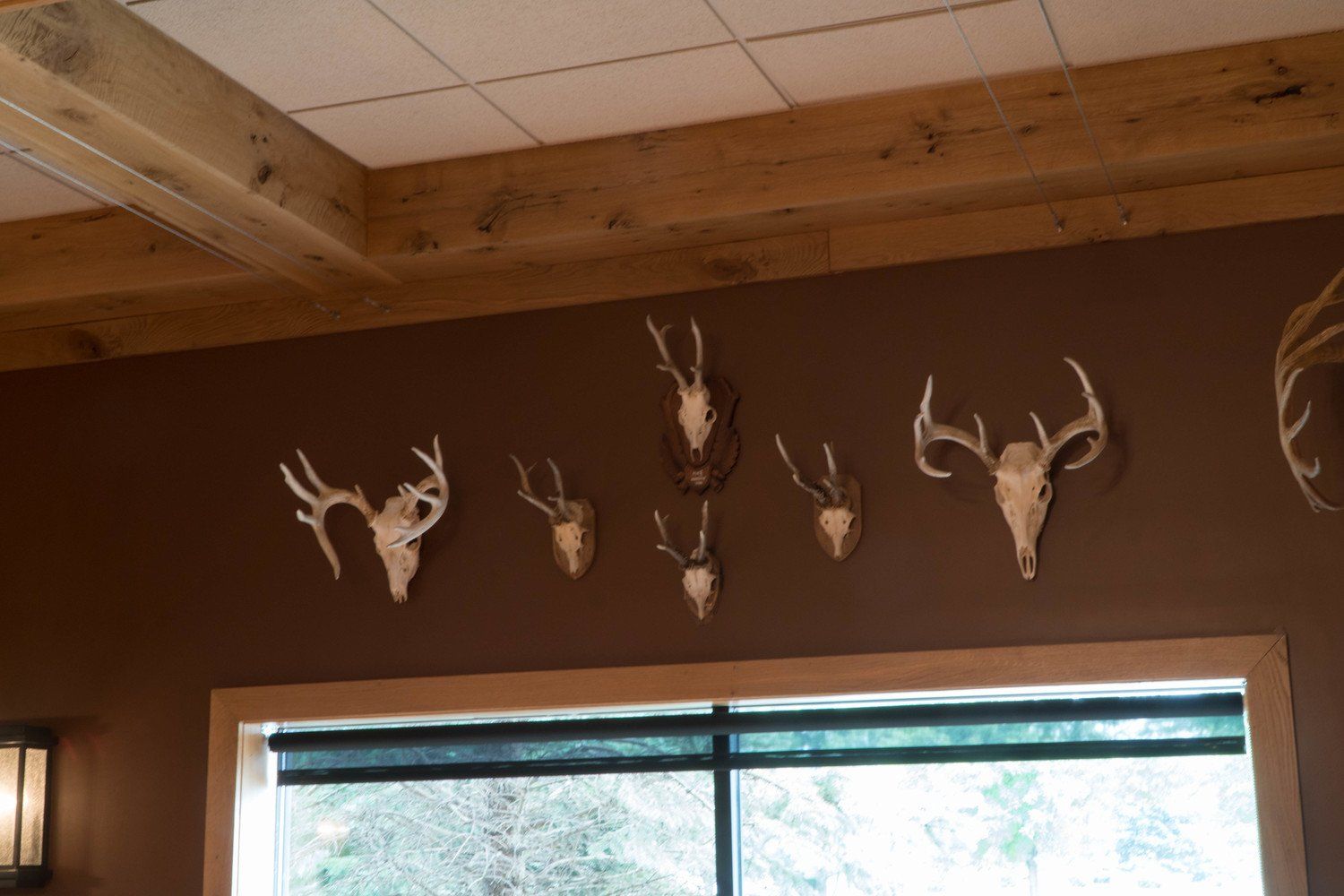 Trophy Room 18
