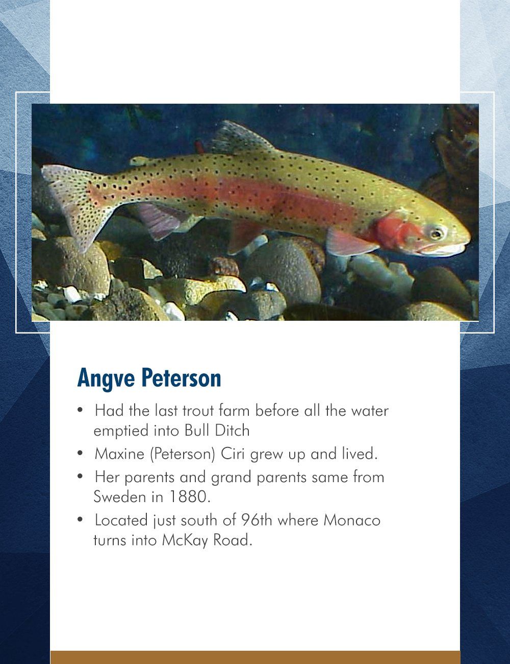 Angve Peterson