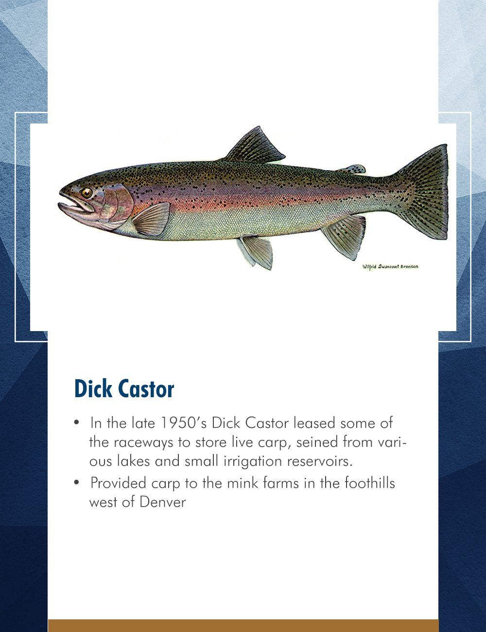 Dick Castor