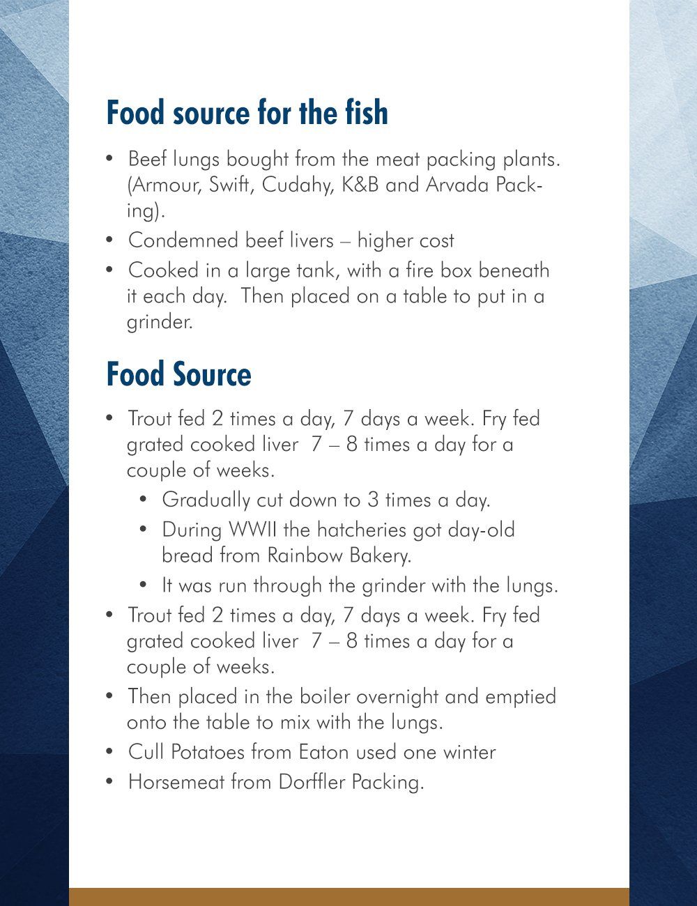 Food source for the fish