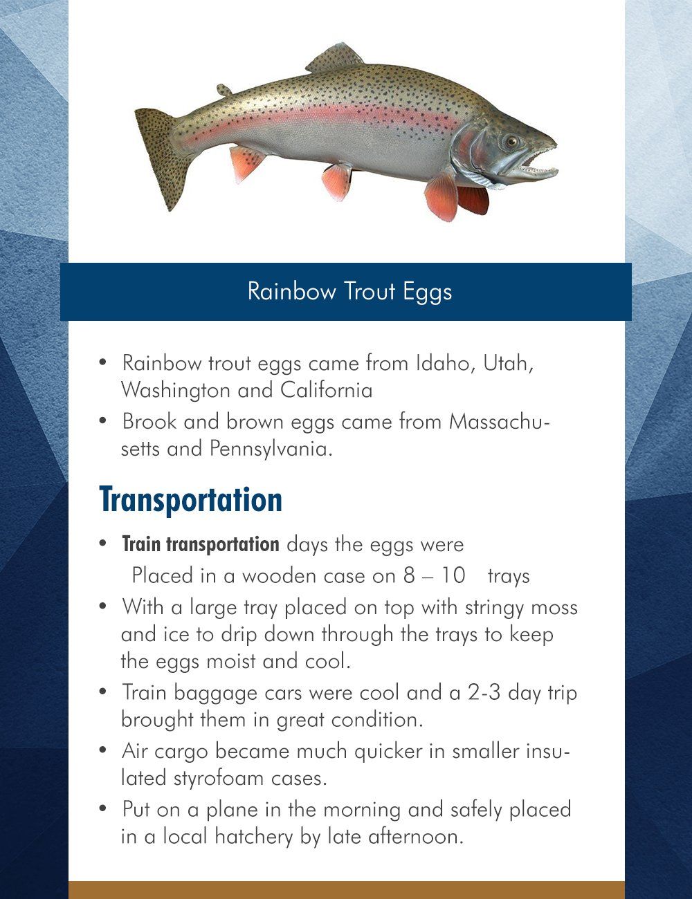 Transportation