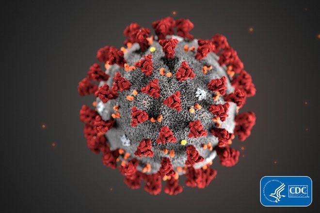coronavirus image with dark background