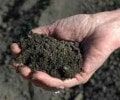 Special Mix - Landscape Equipment and Supplies in Twin Cities, MN