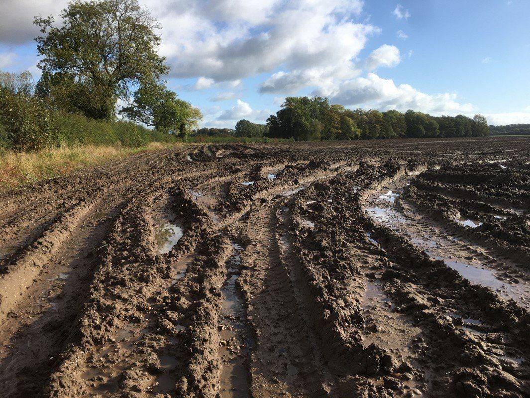 Soil damage due to potato harvesting