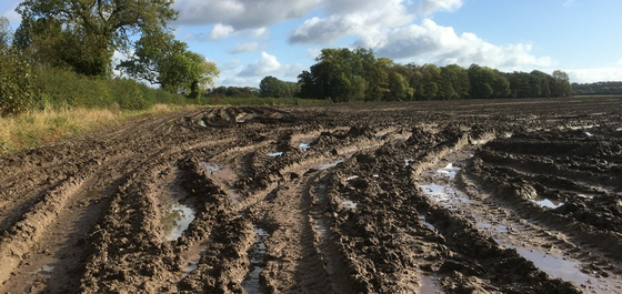 Soil damage following potatoes