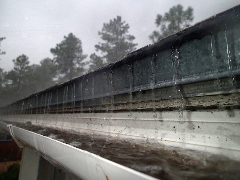 Gutter Cleaning