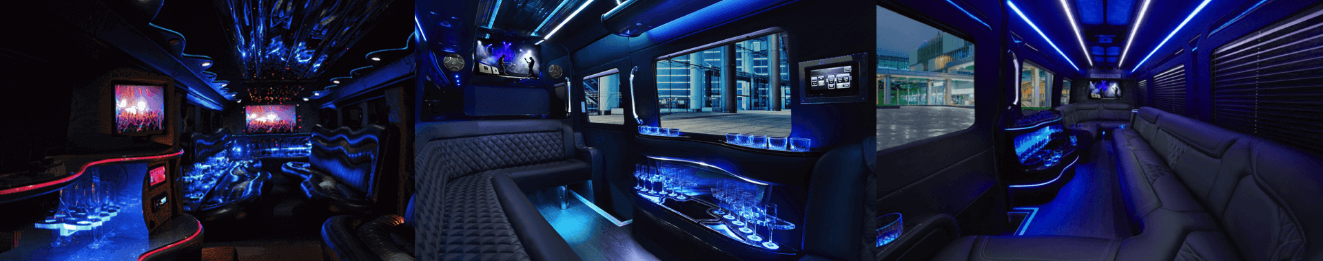 Party Bus Fresno