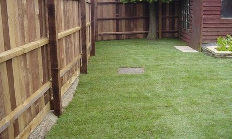 lawn in the garden