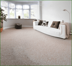 If you need new carpets in Langport call 07860 708 432 New fitted carpet in home