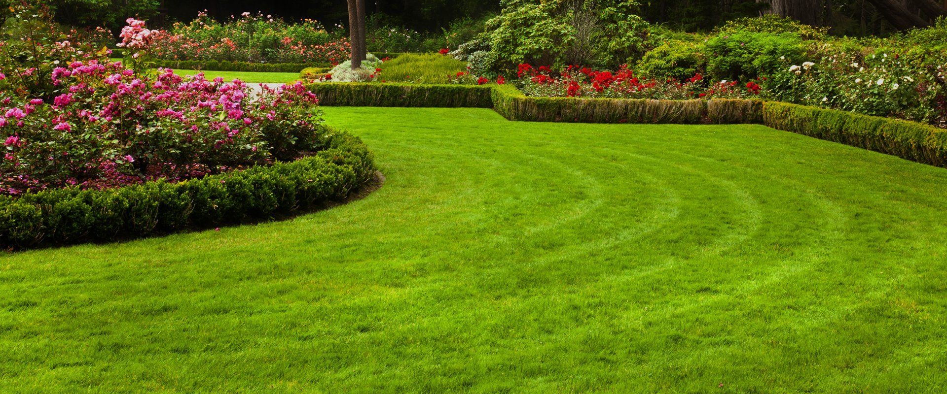 garden design