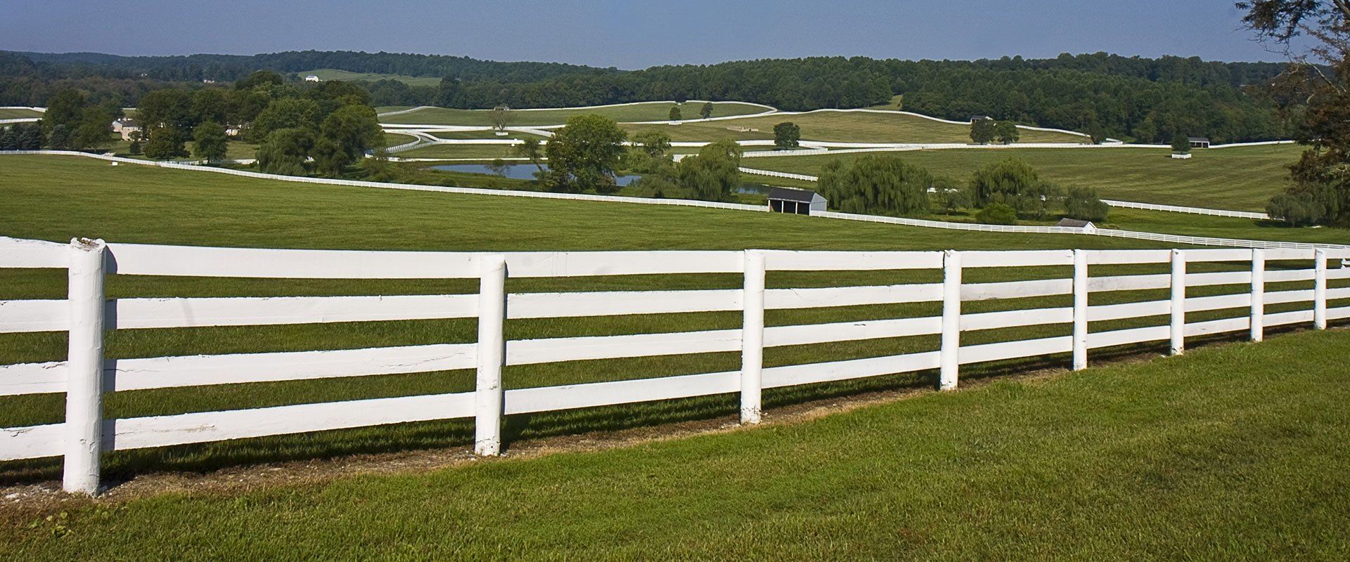 Fencing
