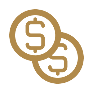 Coins icon