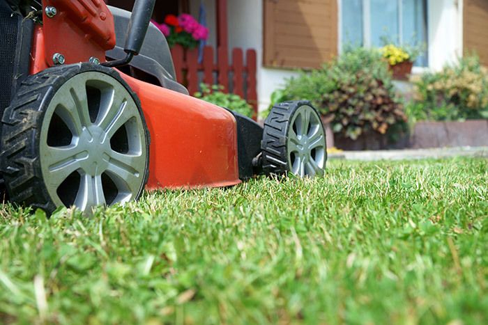 Lawnmowers in Whakamaru