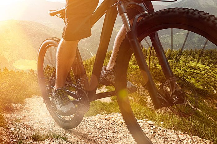 Mountain bikes in Whakamaru