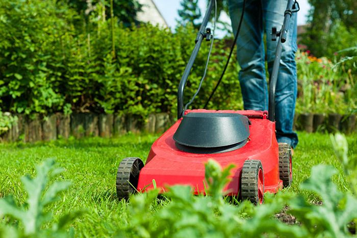 Mowers in Tokoroa