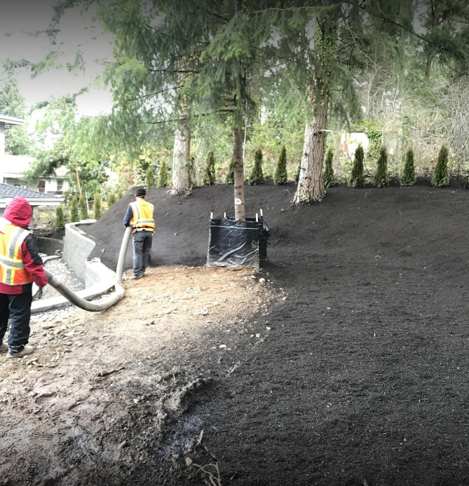 Blowing in mulch in Bellevue, WA