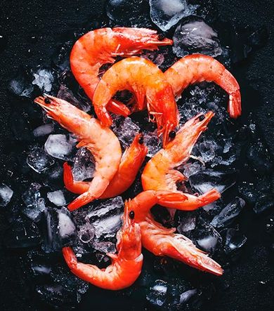 Frozen Cooked Shrimp – Newark, NJ – Ocean Frost Corp. Frozen Cooked Shrimp – Newark, NJ – Ocean Frost Corp.