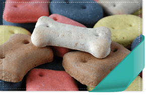 For Doggy day care in St. Boswells, Scotland call Arthurshiel Kennels Doggy day care
