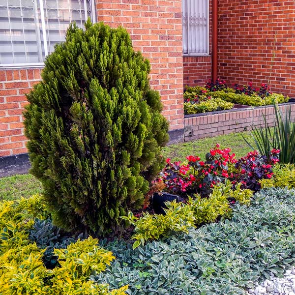 Small Garden with Trees Flowers — Lewiston, ID — Definitive Landscapes & Concrete, LLC Small Garden with Trees Flowers — Lewiston, ID — Definitive Landscapes & Concrete, LLC