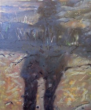 shadow on rocks