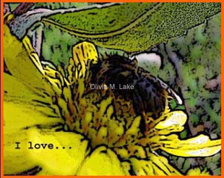 bee in yellow flower