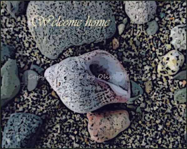 snail cards with rocks