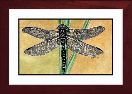 dragonfly