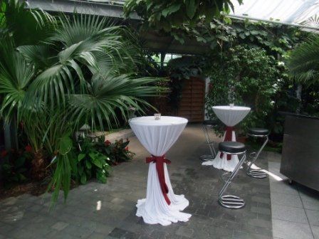 Stehtische mit Hussen im Palmengarten Remseck