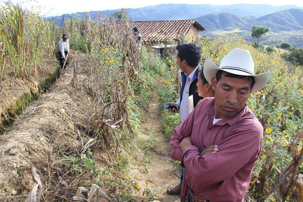 Emigration and food insecurity in Central America