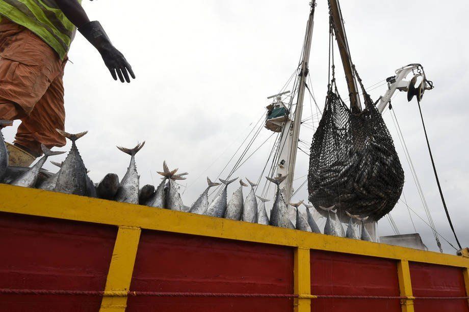 A man is standing on top of a truck filled with fish.