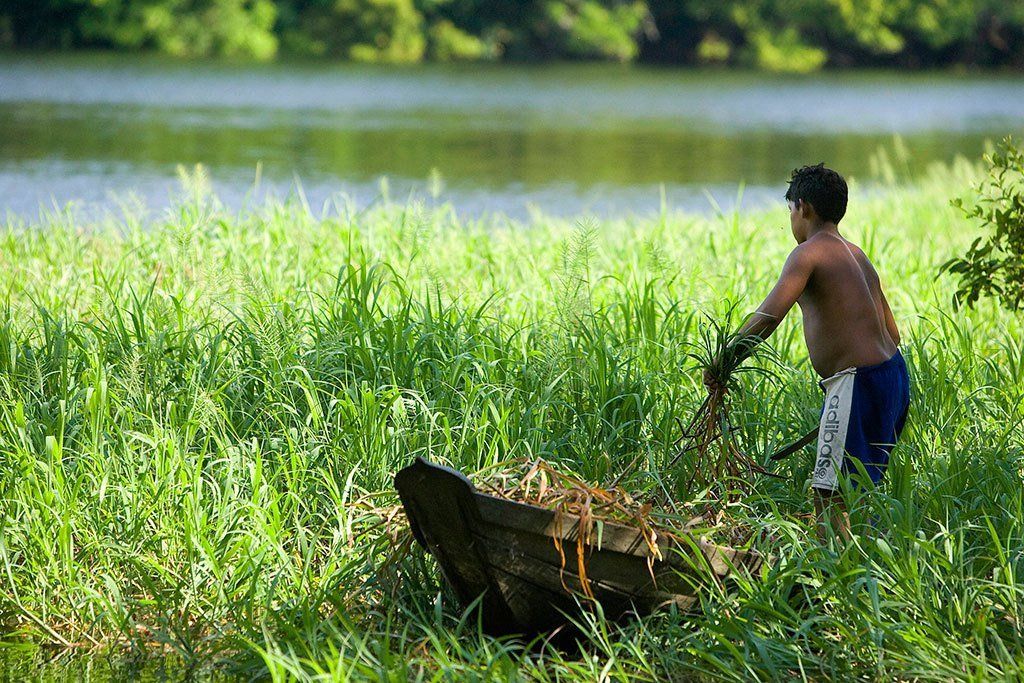 UN marks Day of the Tropics with focus on region’s vulnerability