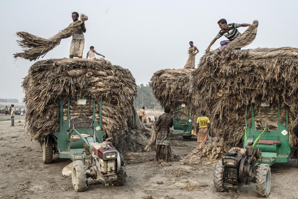 Conflicts, drought drive hunger despite global food supply