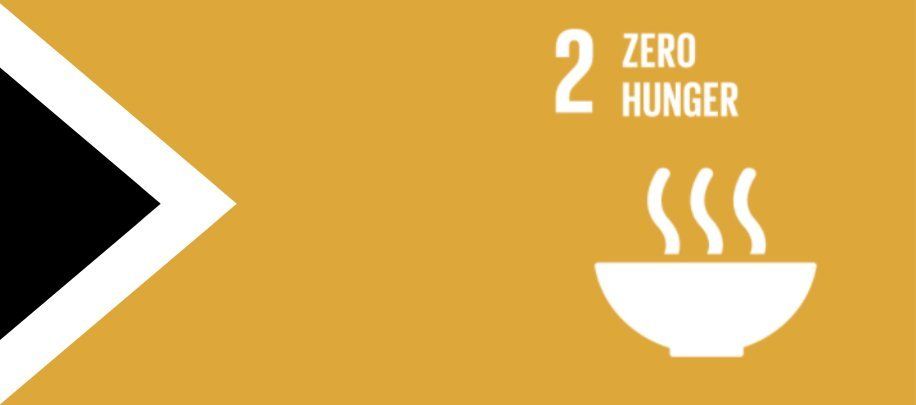 A picture of a bowl of food that says zero hunger