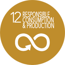 A logo that says 12 responsible consumption and production