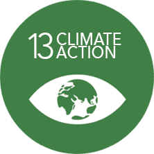 A green circle with the words 13 climate action on it