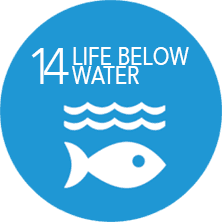 A blue circle with the words 14 life below water on it