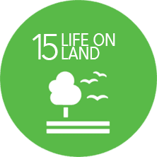 A green circle with the words `` life on land '' and a tree and birds on it.