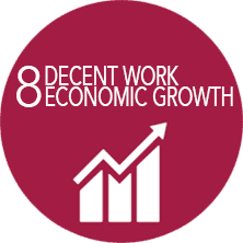 A red circle with the words decent work economic growth on it
