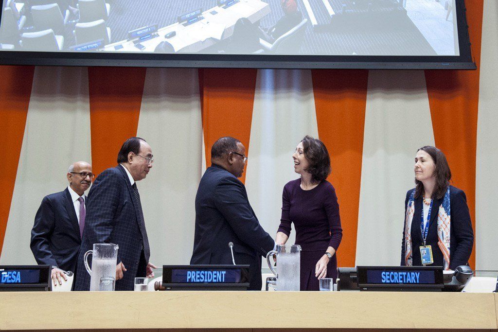ECOSOC President prioritizes sustainable development for all
