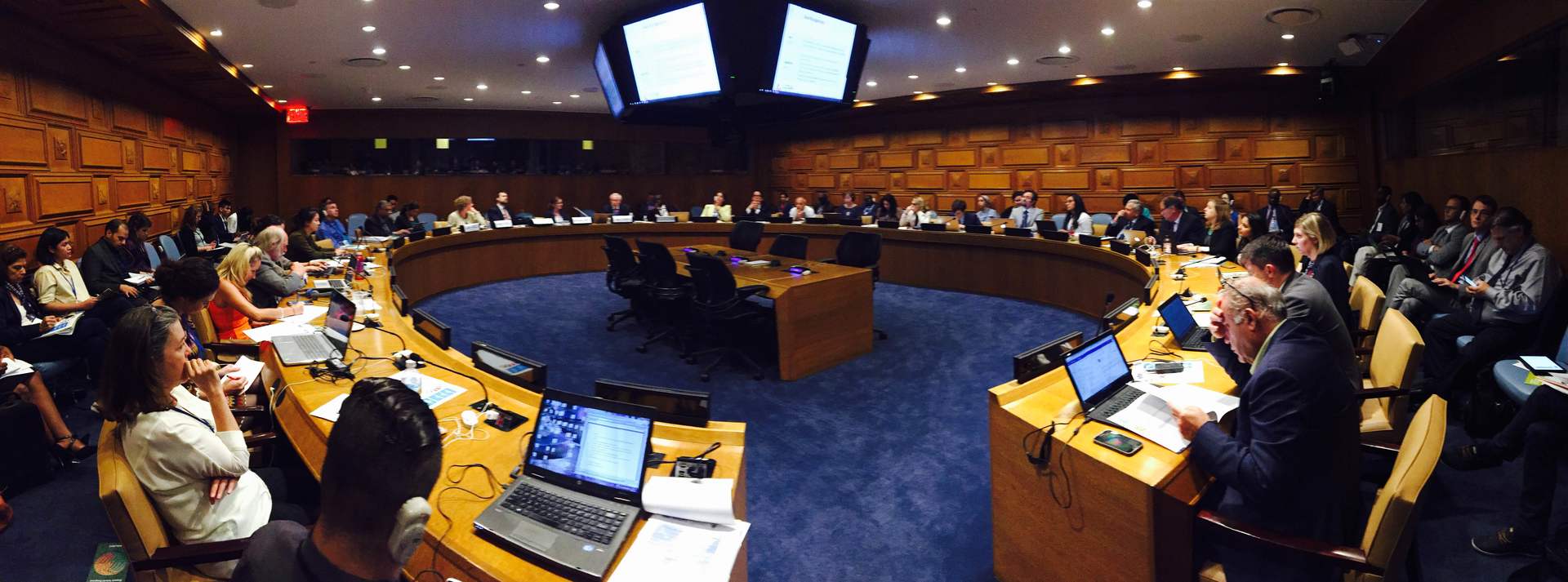 Blue Chip Foundation participated in the discussions & drafting of the SDG's that evolved from the MDG Agenda