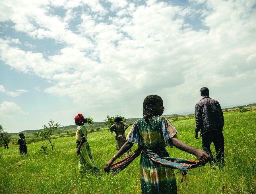VII Foundation VII Foundation: Young girls and a guy in a field walking