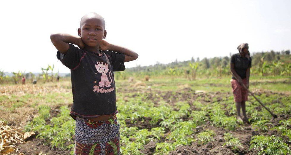 Child in a t-shirt on a farm, with a woman hoeing in the background, sunny day.